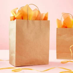 6 Packs: 13ct. (78 total) Medium Kraft Paper Gift Bags by Celebrate Itâ„¢
