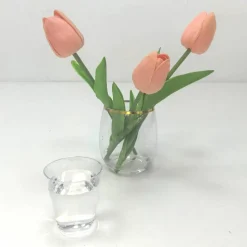24 Packs: 20 ct. (480 total) 2.3oz. Plastic Shot Glasses by Celebrate It™