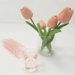 24 Packs: 20 ct. (480 total) 2.3oz. Plastic Shot Glasses by Celebrate It™