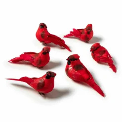 6 Packs: 6 ct. (36 total) Red Feather Cardinals by Ashland®