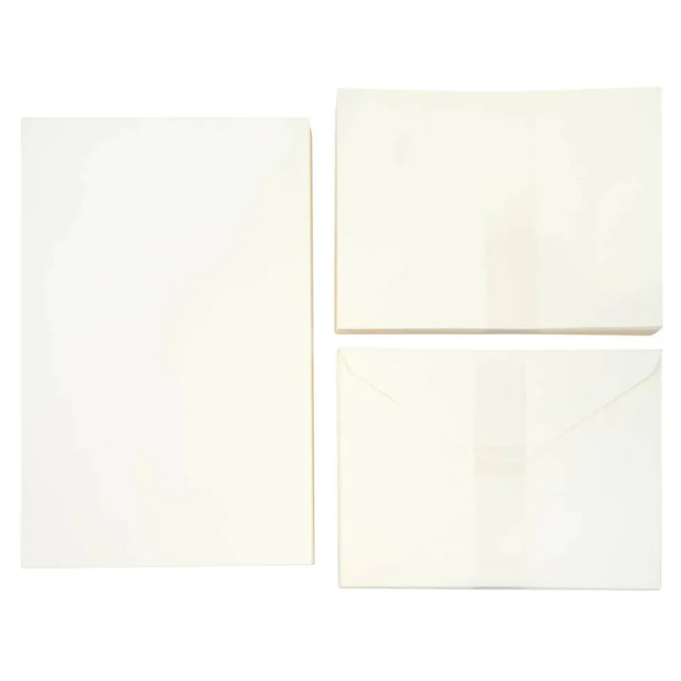 12 Packs: 50 ct. (600 total) 5" x 6.5" Cards & Envelopes by Recollections™