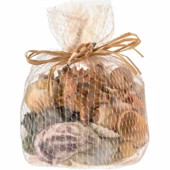 12 Pack: U.S. Shell Dark Shell Mix with Starfish Gift Pack