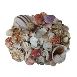 6 Pack: U.S. Shell Garden Bag