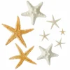 12 Pack: U.S. Shell Starfish Mix