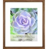 6 Pack: Walnut 16" x 20" Float Frame by Studio Décor®