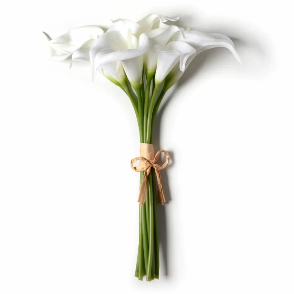 8 Pack: White Calla Lily Bundle by Ashland®