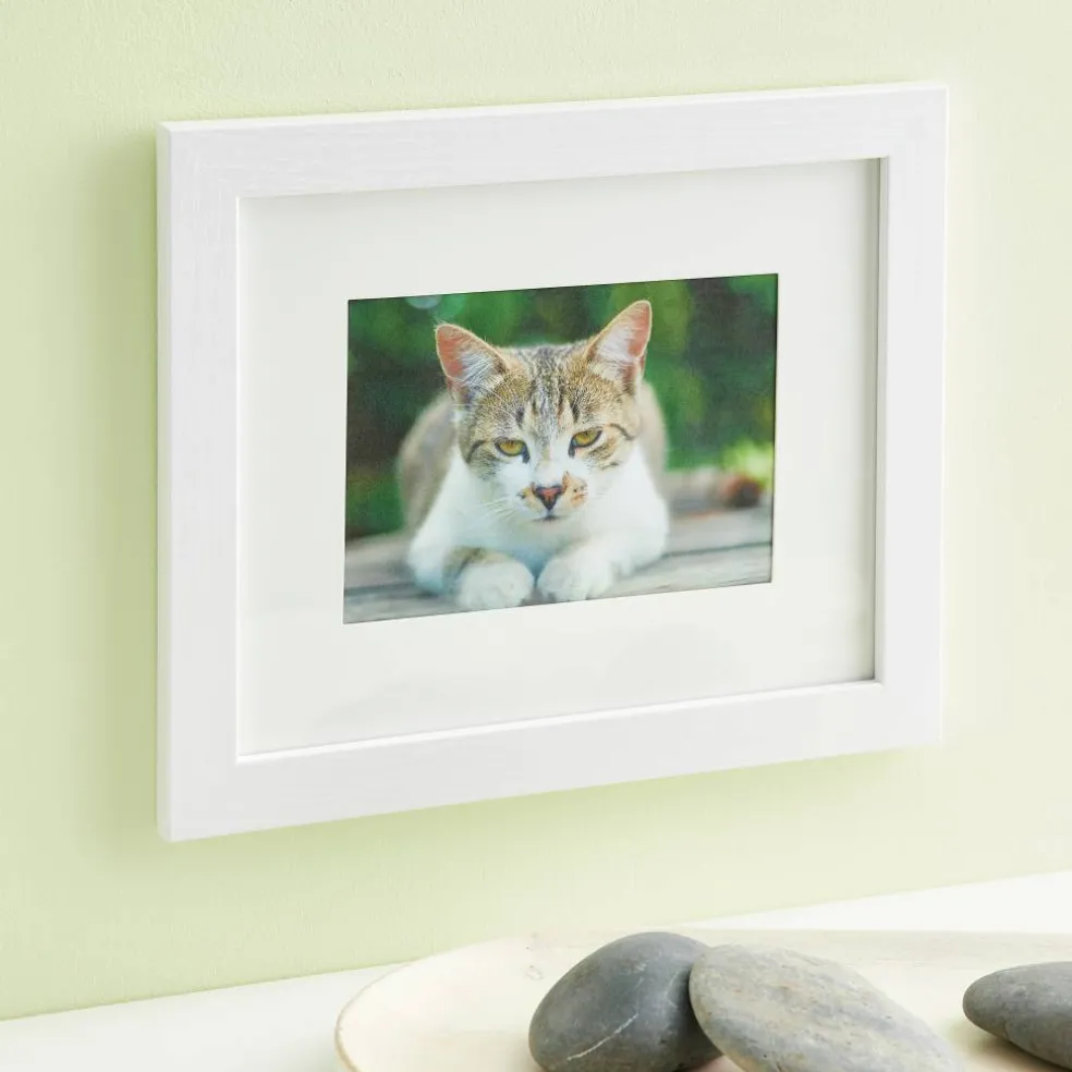 8 Pack: White Frame with Mat, Belmont by Studio Décor®