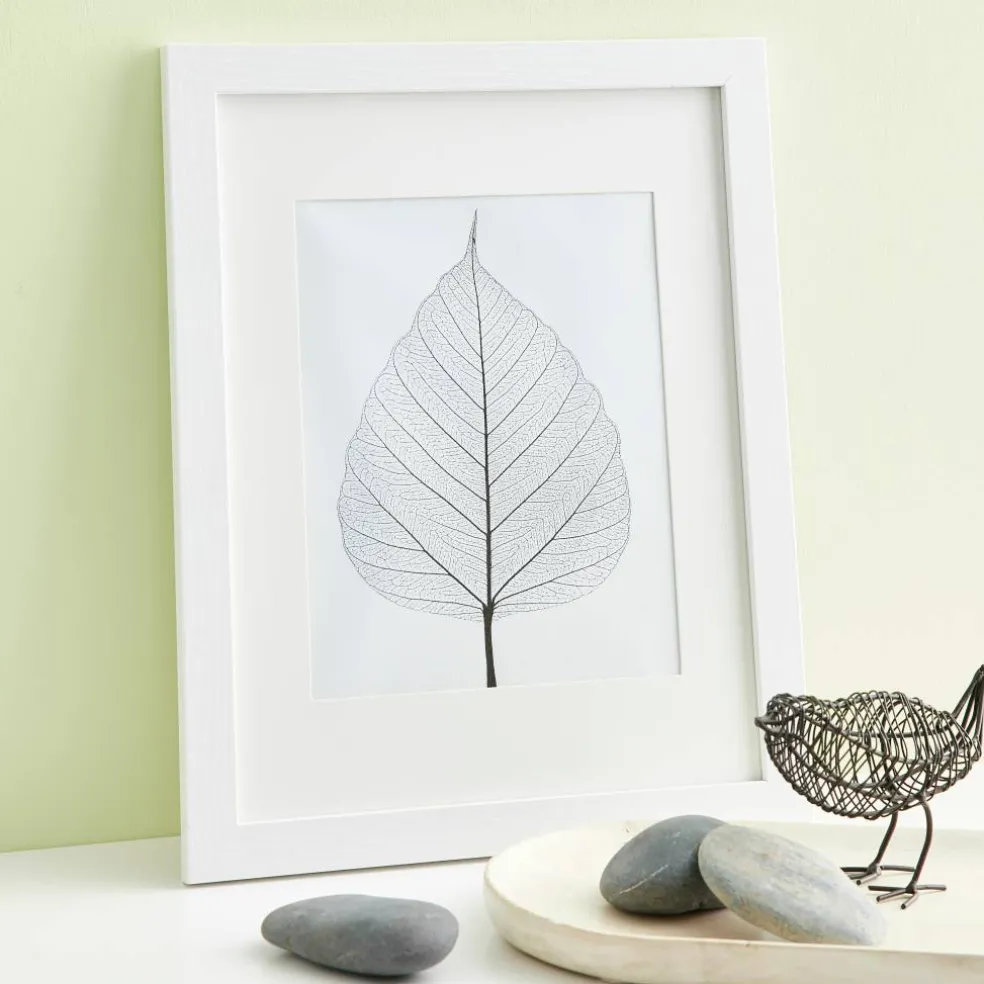 8 Pack: White Frame with Mat, Belmont by Studio Décor®