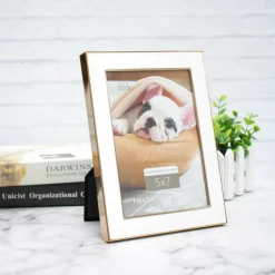 12 Pack: White with Gold Outline 5" x 7" Frame, Expressions™ by Studio Décor®