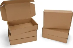 6-Pack 9x6x2 Inch Brown Kraft Shipping Boxes – Tab Lock Tuck Top Mailer Boxes for Small Business, Gifts, and Packaging (Brown)