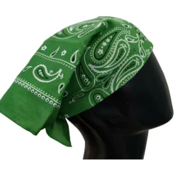 Paisley Bandana by Make Market®