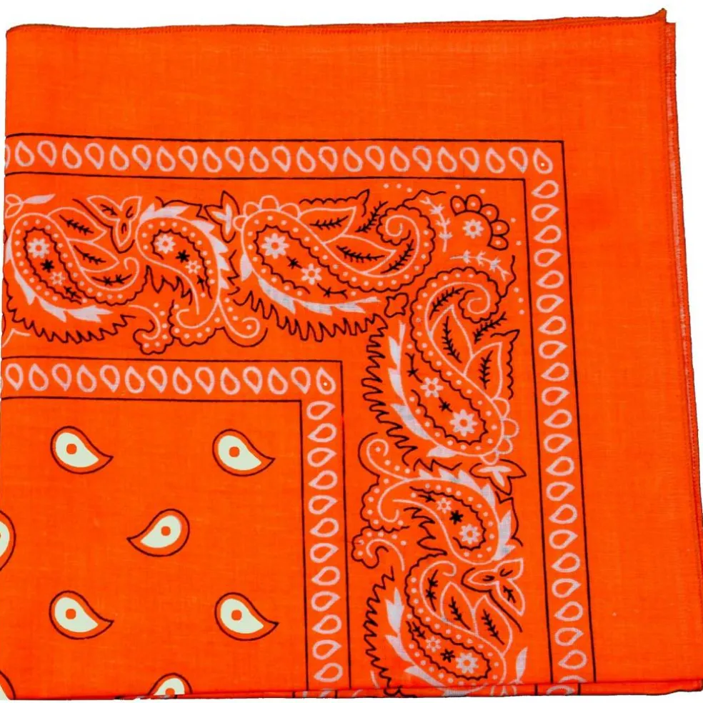 Paisley 100% Cotton Double Sided Bandana - 22 inches