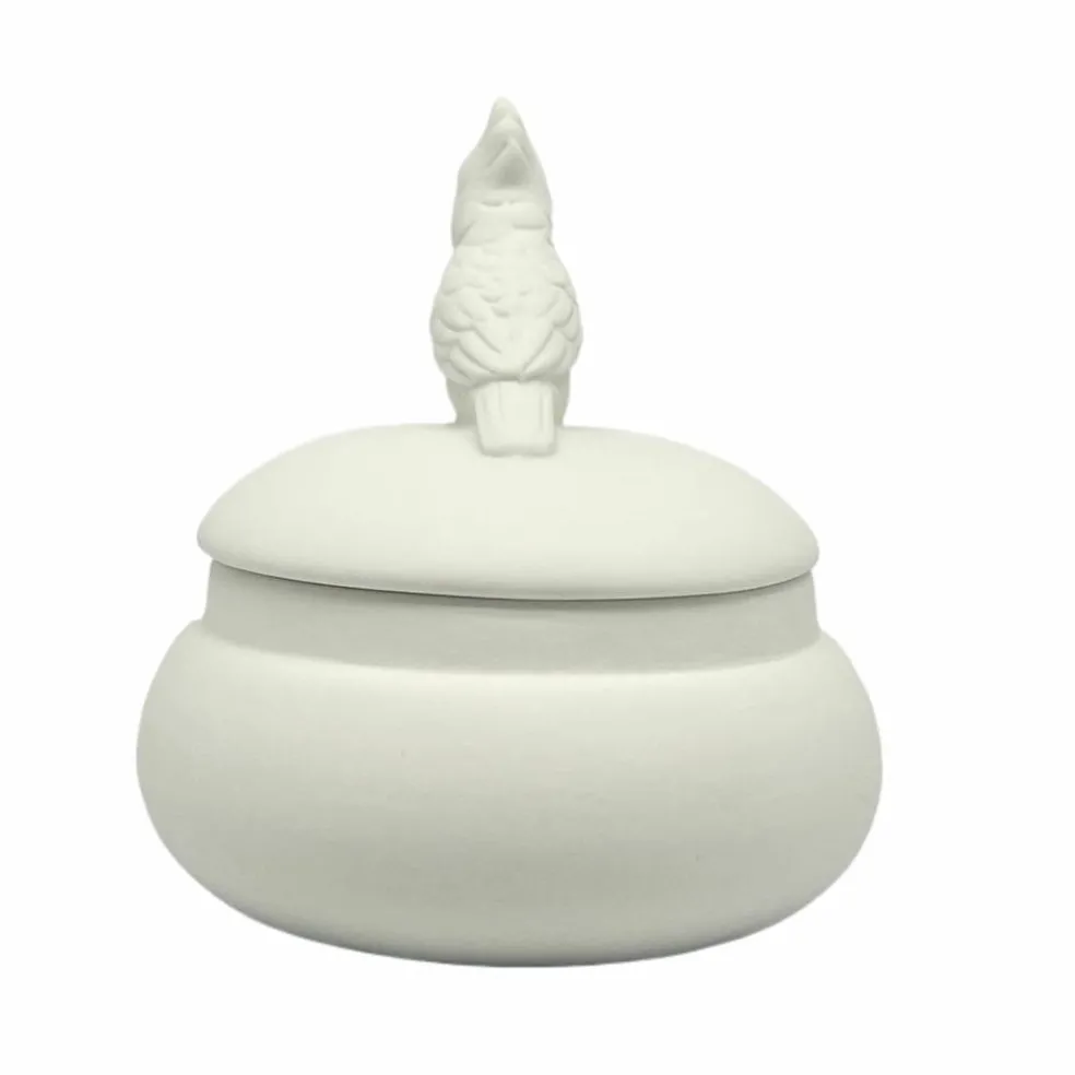3.5" Parrot DIY Ceramic Trinket Box with Lid by Make Market®