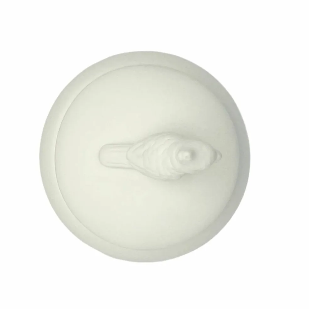 3.5" Parrot DIY Ceramic Trinket Box with Lid by Make Market®