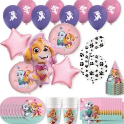 PAW Patrol™ Skye & Everest Birthday Party Kit with Number