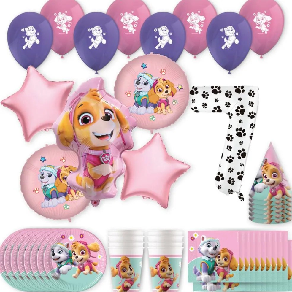 PAW Patrol™ Skye & Everest Birthday Party Kit with Number