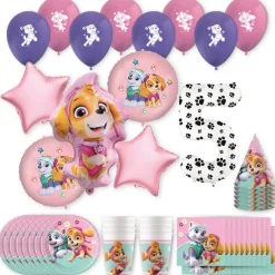 PAW Patrol™ Skye & Everest Birthday Party Kit with Number