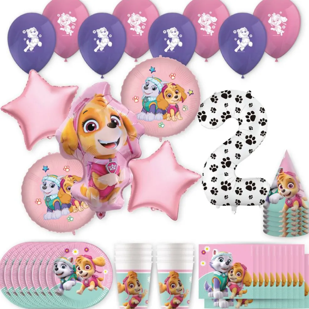 PAW Patrol™ Skye & Everest Birthday Party Kit with Number