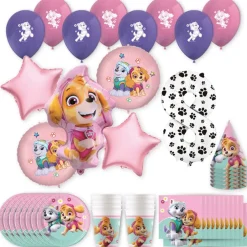 PAW Patrol™ Skye & Everest Birthday Party Kit with Number