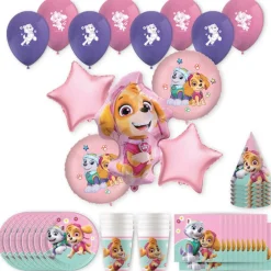 Paw Patrol Skye & Everest Party Kit