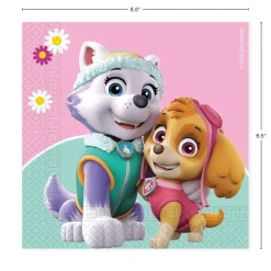 Paw Patrol Skye & Everest Party Kit