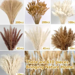 610 PCS Dried Pampas Grass Decor, Dried Flower Bouquets for Wedding, Home, Centerpiece Table, Modern Home, Western Living Room, Nurserie, Nursery, Boho Room, Beach, Women Office, and Boho Decor
