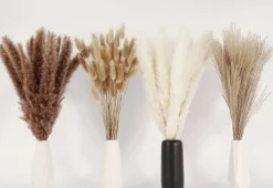 100PCS Dried Pampas Grass Decor with Bunny Tails – 17 Inch Natural Dried Flowers Bouquet, White & Brown Reed Grass Stems for Boho Wedding Centerpieces, Vase Filler, Farmhouse Home Decor, Rustic Party Decorations