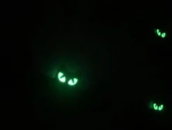 3 Pcs Glow in the Dark Eyes Bat Banner – Pre-Strung Halloween Bat Garland Decorations – Glitter Cardstock Hanging Banner for Party, Home, Wall & Haunted House Decor
