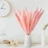 45PCS 24 inches Natural Dried Pampas
