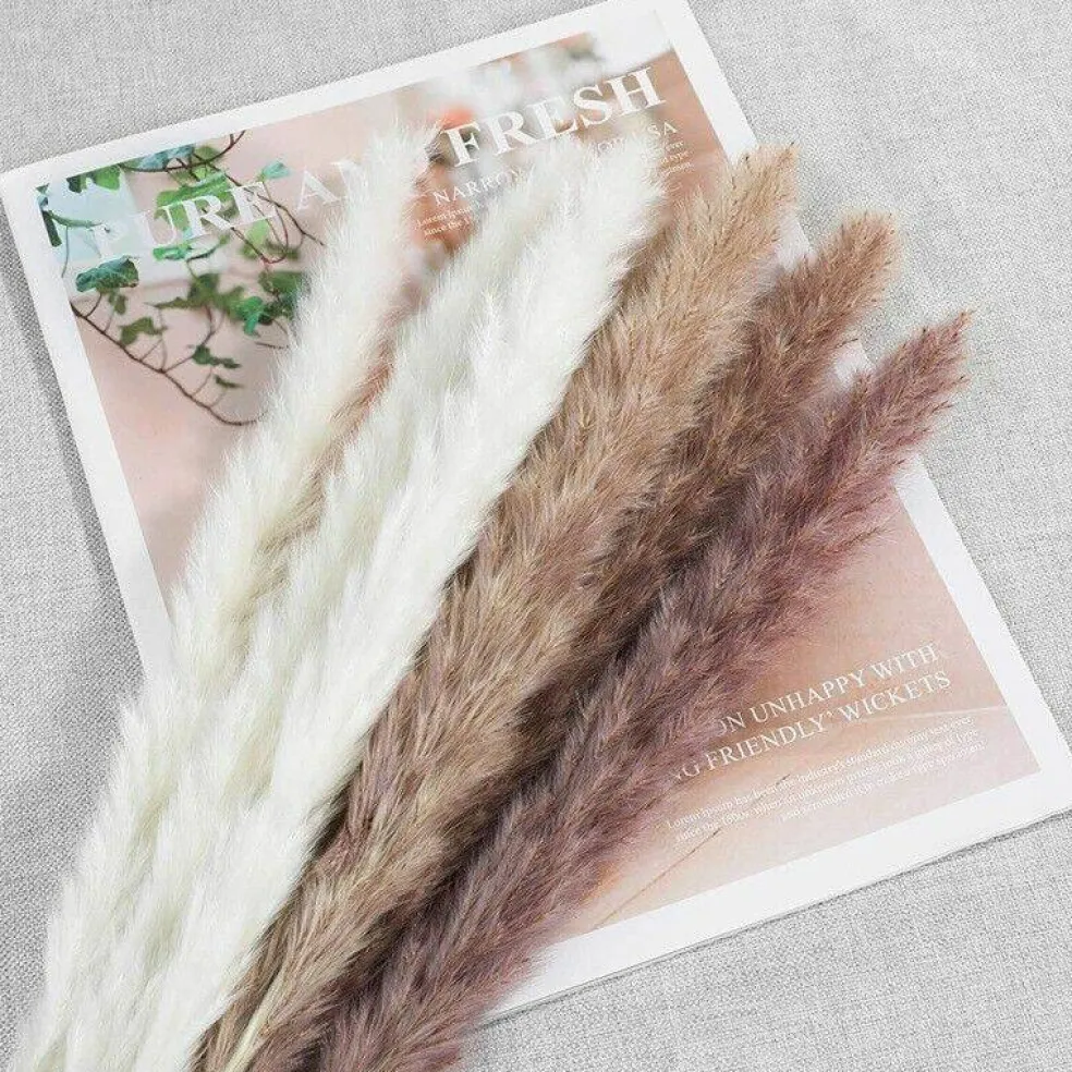 45PCS 24 inches Natural Dried Pampas