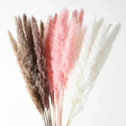 45PCS 24 inches Natural Dried Pampas