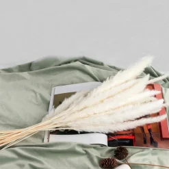 45PCS 24 inches Natural Dried Pampas