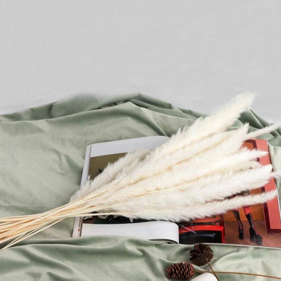 45PCS 24 inches Natural Dried Pampas
