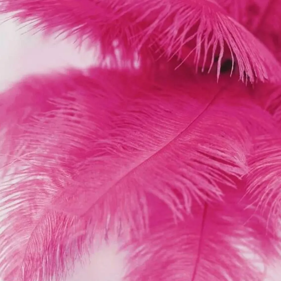 12 pcs 13"-15" long Genuine Ostrich Feathers