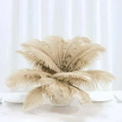 12 pcs 13"-15" long Genuine Ostrich Feathers