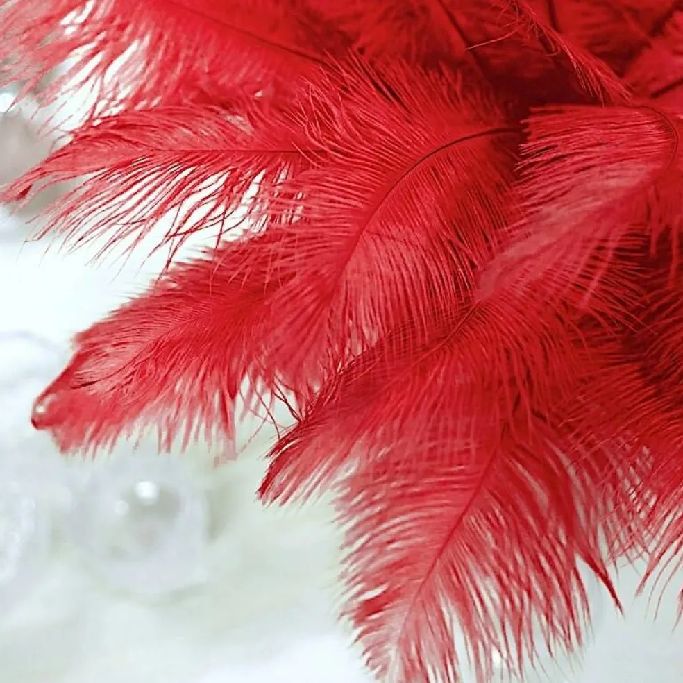 12 pcs 13"-15" long Genuine Ostrich Feathers