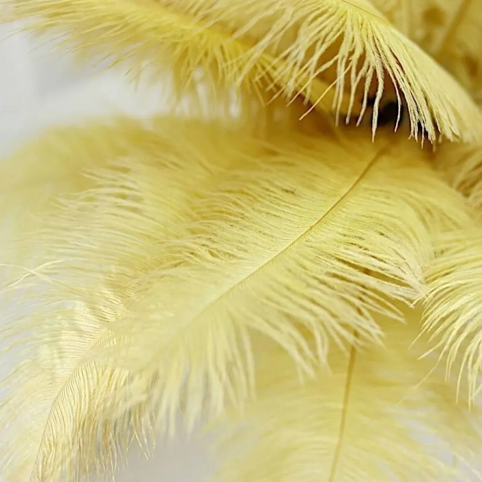 12 pcs 13"-15" long Genuine Ostrich Feathers