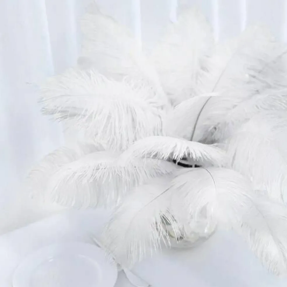 12 pcs 13"-15" long Genuine Ostrich Feathers