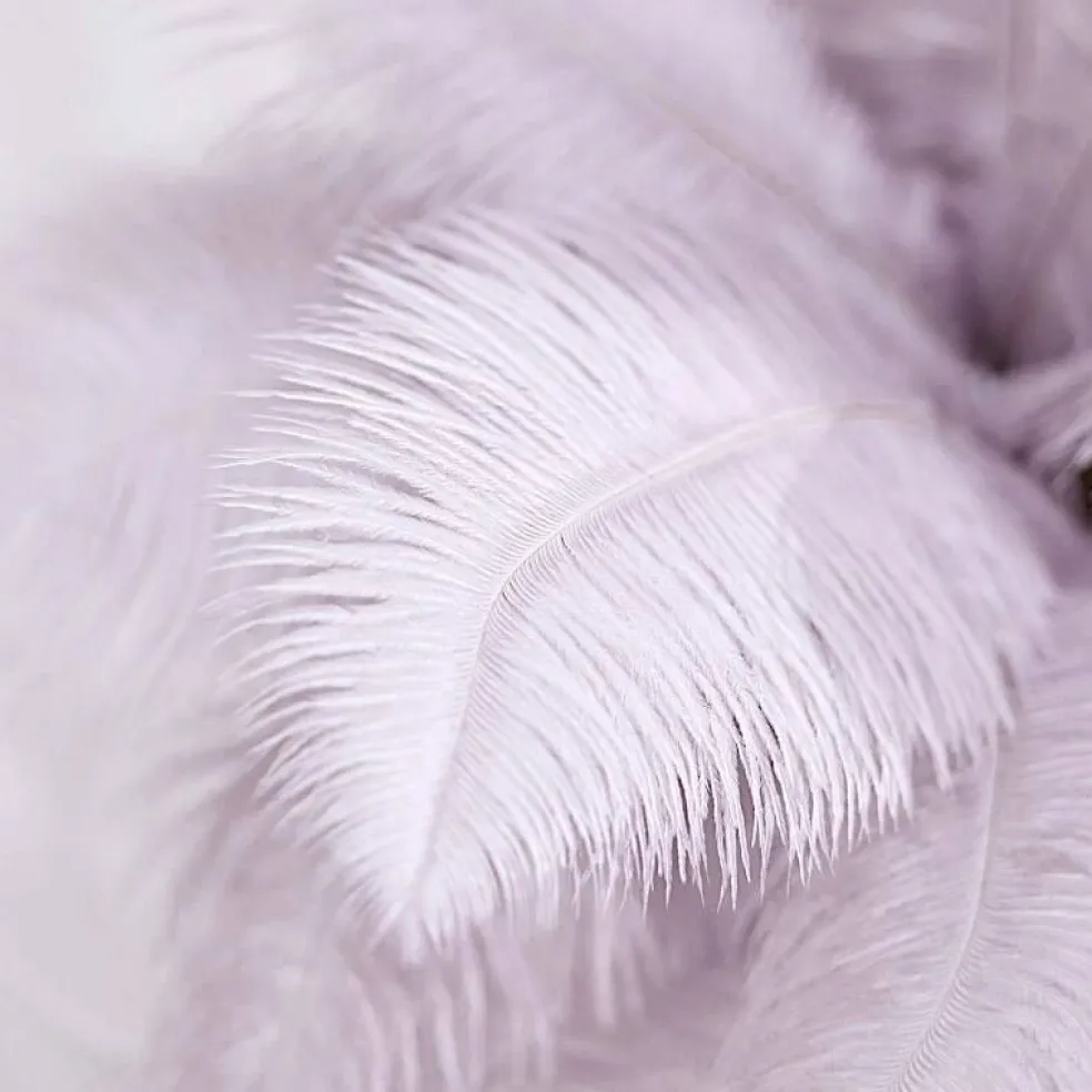 12 pcs 13"-15" long Genuine Ostrich Feathers