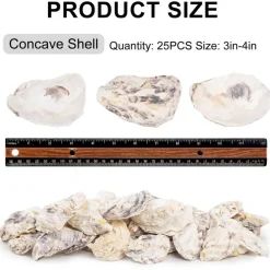 25PCS Natural Oyster Shells 3"-4" – Concave Seashells for Crafts, DIY Arts & Crafts, Home Decor, Vase Fillers, Christmas Ornaments, Beach-Themed Projects