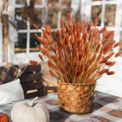 120Pcs Orange Pampas Grass Bunny Tails Dried Flowers 17 Inch, Fall Dried Flower Bouquet, Natural Boho Floral Arrangement for Wedding Centerpieces, Farmhouse Home Decor, Autumn Decorations