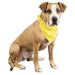 3 Pcs Plain Cotton Pets Dogs Bandana Triangle Shape - Large & Washable