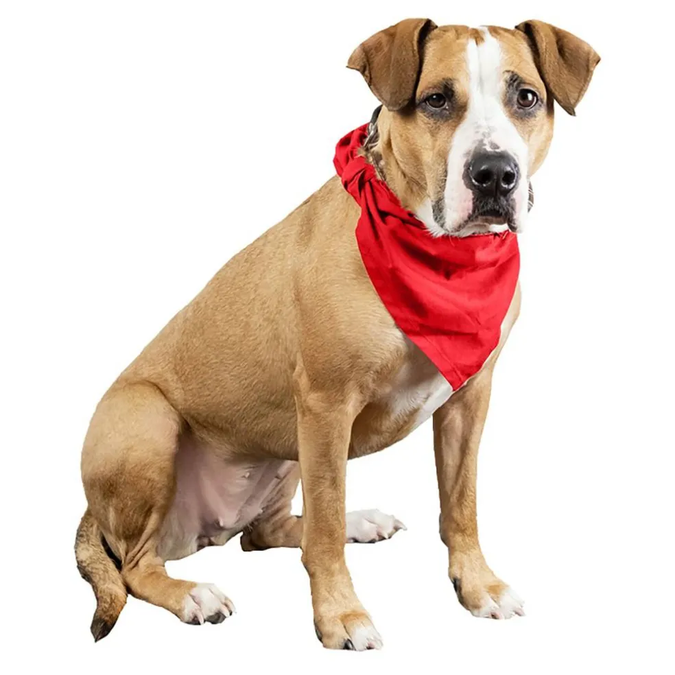 3 Pcs Plain Cotton Pets Dogs Bandana Triangle Shape - Large & Washable