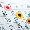 40 pcs push pins thumb tacks for bulletin cork boards decorative flower pins for office