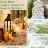 1500Pcs Real Dried Ivory White Hydrangea Flower Petals