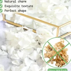 1500Pcs Real Dried Ivory White Hydrangea Flower Petals