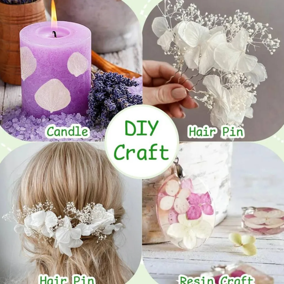 1500Pcs Real Dried Ivory White Hydrangea Flower Petals