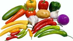 22pcs Realistic Artificial Fake Vegetables, Artificial Vegetables for Decoration