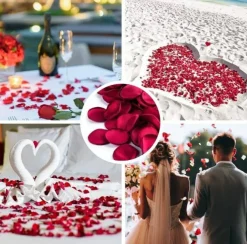 400PCS Silk Rose Petals Burgundy Red Wedding Supplies Flower Girl Basket Table Aisle Runner Party Dinner Bridal Shower Decoration Valentine's Day Decor
