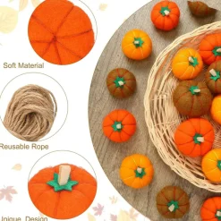 25 Pcs Thanksgiving Felt Mini Pumpkins Set, Wool Fabric Pumpkin Ornaments with Rope, Autumn Harvest Garland DIY Crafts Decorations for Fall Halloween Table, Home, Farmhouse Decor